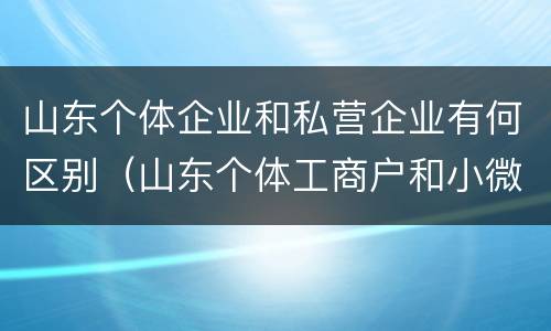 山东个体企业和私营企业有何区别（山东个体工商户和小微企业）