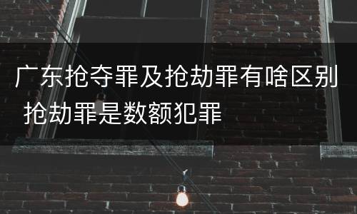 广东抢夺罪及抢劫罪有啥区别 抢劫罪是数额犯罪