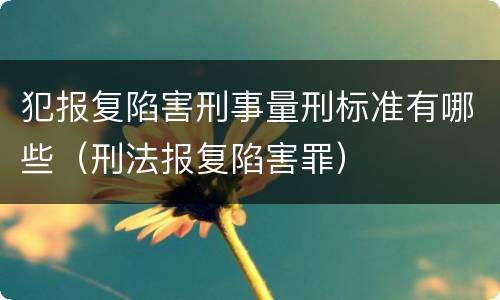 犯报复陷害刑事量刑标准有哪些（刑法报复陷害罪）