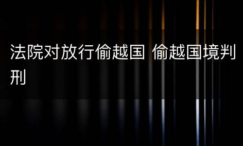法院对放行偷越国 偷越国境判刑