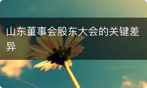 山东董事会股东大会的关键差异
