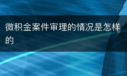 微积金案件审理的情况是怎样的