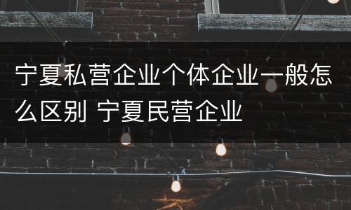 宁夏私营企业个体企业一般怎么区别 宁夏民营企业