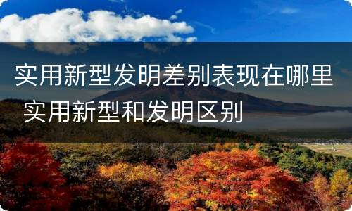实用新型发明差别表现在哪里 实用新型和发明区别
