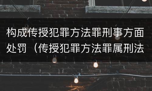 构成传授犯罪方法罪刑事方面处罚（传授犯罪方法罪属刑法规定的）