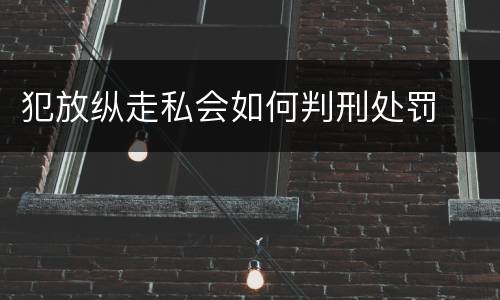 犯放纵走私会如何判刑处罚