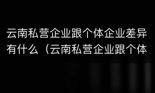 云南私营企业跟个体企业差异有什么（云南私营企业跟个体企业差异有什么区别）