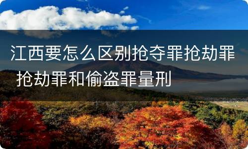 江西要怎么区别抢夺罪抢劫罪 抢劫罪和偷盗罪量刑