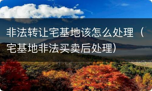 非法转让宅基地该怎么处理（宅基地非法买卖后处理）