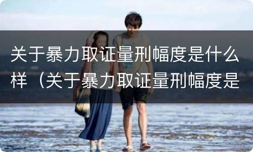 关于暴力取证量刑幅度是什么样（关于暴力取证量刑幅度是什么样的标准）