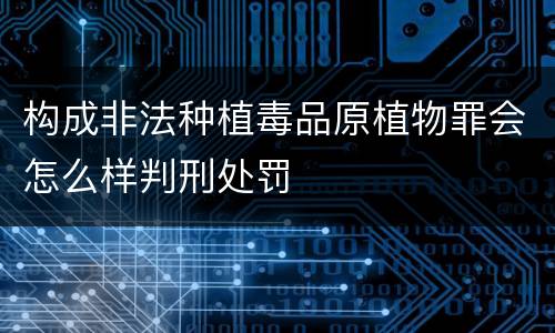 构成非法种植毒品原植物罪会怎么样判刑处罚