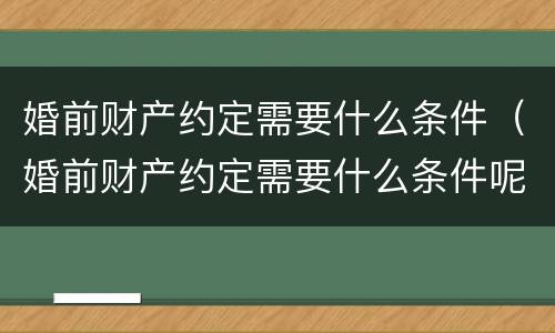 婚前财产约定需要什么条件（婚前财产约定需要什么条件呢）