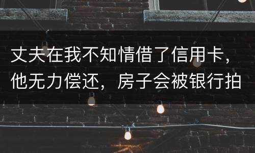 丈夫在我不知情借了信用卡，他无力偿还，房子会被银行拍卖吗
