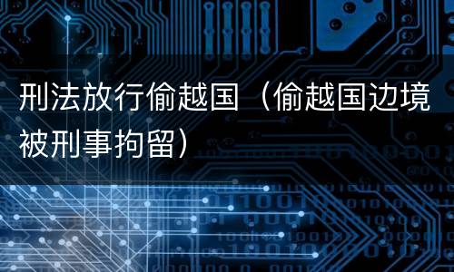 刑法放行偷越国（偷越国边境被刑事拘留）