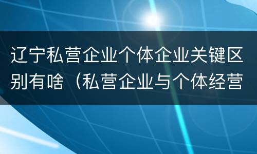 辽宁私营企业个体企业关键区别有啥（私营企业与个体经营企业的区别）