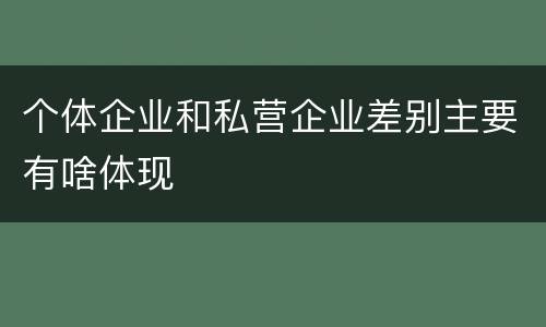 个体企业和私营企业差别主要有啥体现