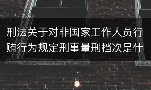 刑法关于对非国家工作人员行贿行为规定刑事量刑档次是什么