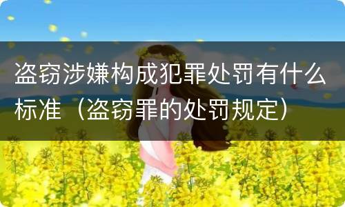 盗窃涉嫌构成犯罪处罚有什么标准（盗窃罪的处罚规定）