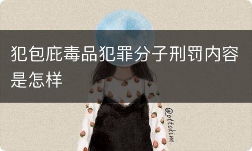 犯包庇毒品犯罪分子刑罚内容是怎样