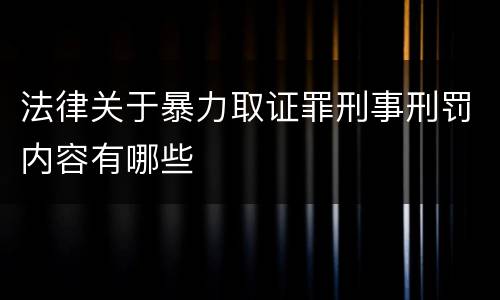 法律关于暴力取证罪刑事刑罚内容有哪些