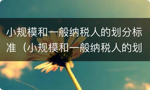 小规模和一般纳税人的划分标准（小规模和一般纳税人的划分标准是）