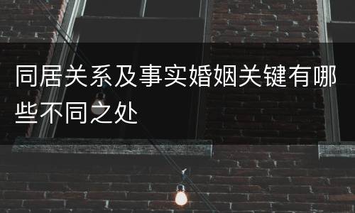 同居关系及事实婚姻关键有哪些不同之处