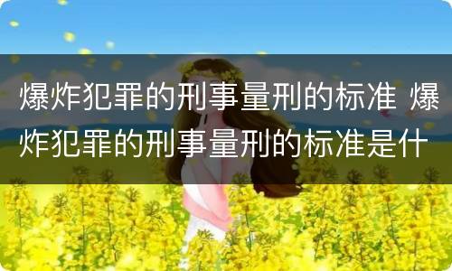 爆炸犯罪的刑事量刑的标准 爆炸犯罪的刑事量刑的标准是什么