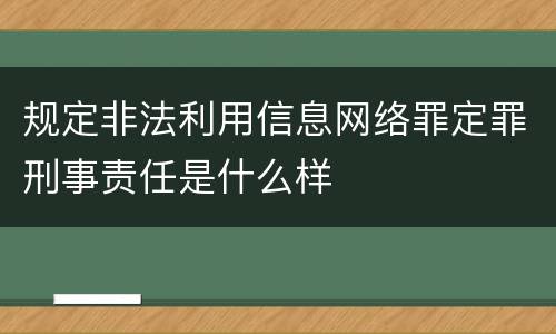 规定非法利用信息网络罪定罪刑事责任是什么样