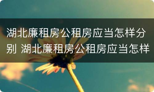 湖北廉租房公租房应当怎样分别 湖北廉租房公租房应当怎样分别购买