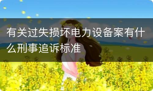 有关过失损坏电力设备案有什么刑事追诉标准