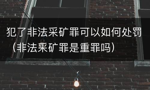 犯了非法采矿罪可以如何处罚（非法采矿罪是重罪吗）