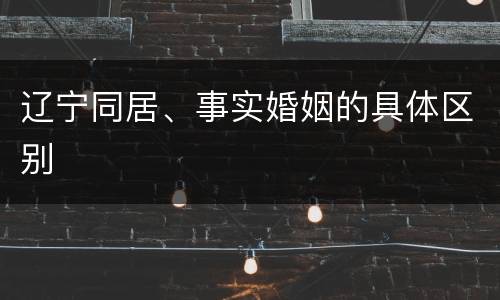 辽宁同居、事实婚姻的具体区别