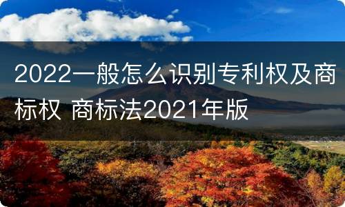 2022一般怎么识别专利权及商标权 商标法2021年版