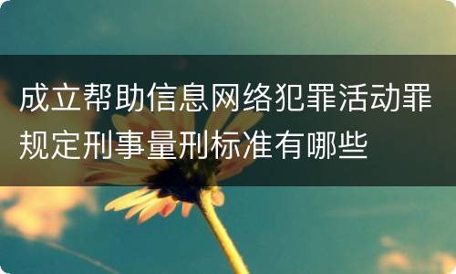 成立帮助信息网络犯罪活动罪规定刑事量刑标准有哪些