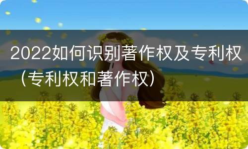 2022如何识别著作权及专利权（专利权和著作权）
