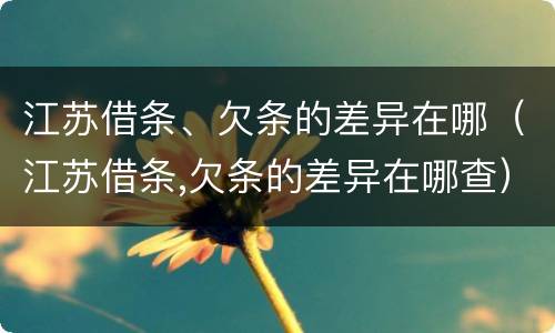 江苏借条、欠条的差异在哪（江苏借条,欠条的差异在哪查）