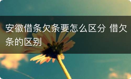安徽借条欠条要怎么区分 借欠条的区别