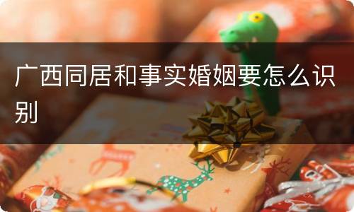 广西同居和事实婚姻要怎么识别