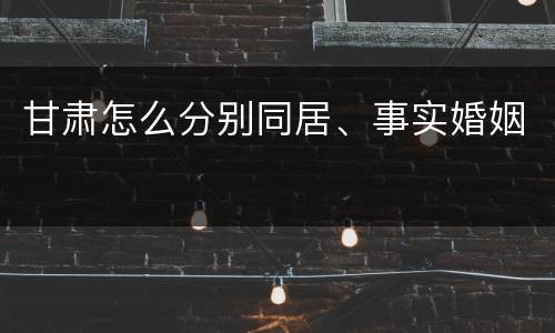 甘肃怎么分别同居、事实婚姻