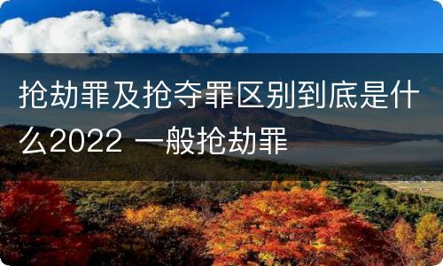 抢劫罪及抢夺罪区别到底是什么2022 一般抢劫罪