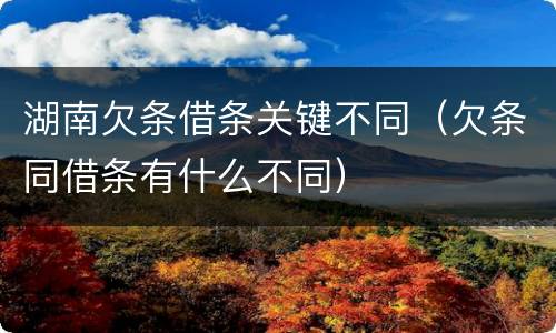 湖南欠条借条关键不同（欠条同借条有什么不同）