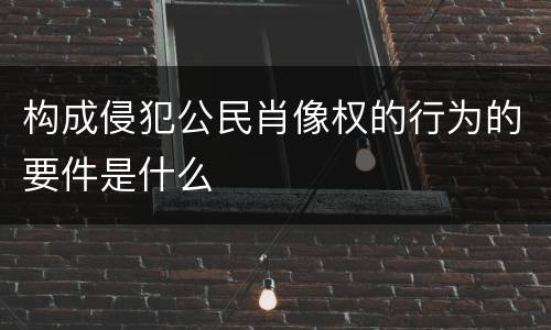 构成侵犯公民肖像权的行为的要件是什么