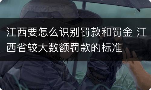 江西要怎么识别罚款和罚金 江西省较大数额罚款的标准