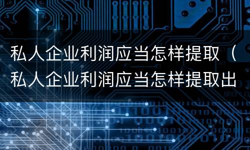 私人企业利润应当怎样提取（私人企业利润应当怎样提取出来）