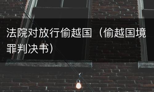 法院对放行偷越国（偷越国境罪判决书）