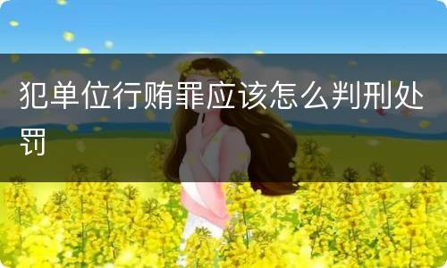 犯单位行贿罪应该怎么判刑处罚