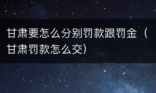 甘肃要怎么分别罚款跟罚金（甘肃罚款怎么交）