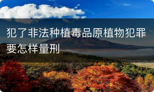 犯了非法种植毒品原植物犯罪要怎样量刑