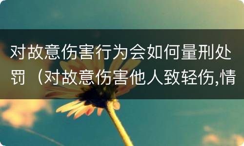 对故意伤害行为会如何量刑处罚（对故意伤害他人致轻伤,情节显著轻微、危害不大）