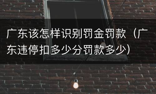广东该怎样识别罚金罚款（广东违停扣多少分罚款多少）